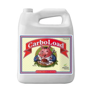 CarboLoad Liquid 5L