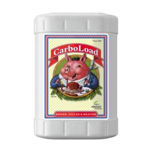 CarboLoad Liquid 20L