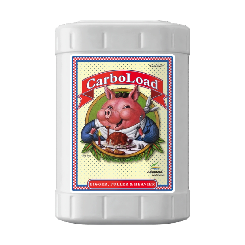 CarboLoad Liquid 20L