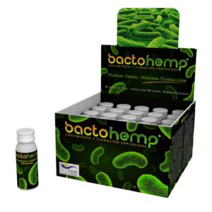 Bactohemp (15X10 GR)