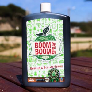 BOOM BOOM SPRAY BOTELLA 250ML * BIOTABS