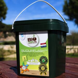SILICIUM FLASH (2500 ML) * BIOTABS