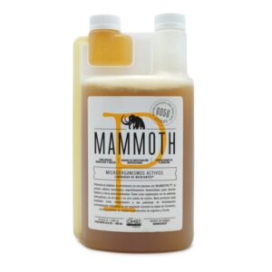 MAMMOTH P 1 L GROWCENTIA*
