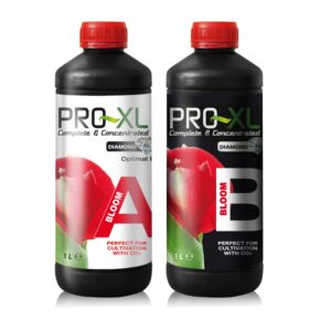 BLOOM A&B 1L * FERTILIZANTES PRO-XL