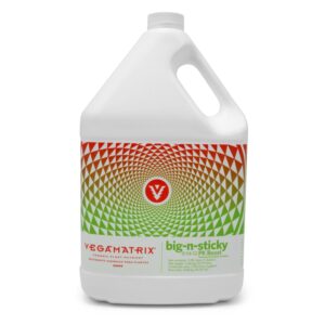 BIG N STICKY (3,78 L) * VEGAMATRIX