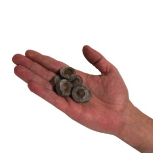 PASTILLAS JIFFY 24 MM (2000 UDS) * SUSTRATOS