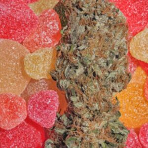 6 UND FEM - FRUITYLICIOUS * MANDALA SEEDS 6 UND FEMINIZADAS