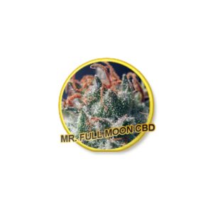 1 UND FEM - FULL MOON CBD * MR. HIDE SEEDS  1 UND FEM