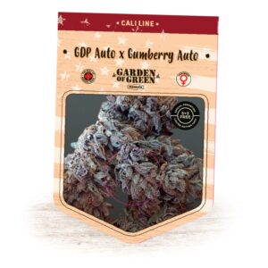 10 UND FEM - GDP AUTO X GUMBERRY AUTO * GARDEN OF GREEN 10 UND FEMINIZADAS