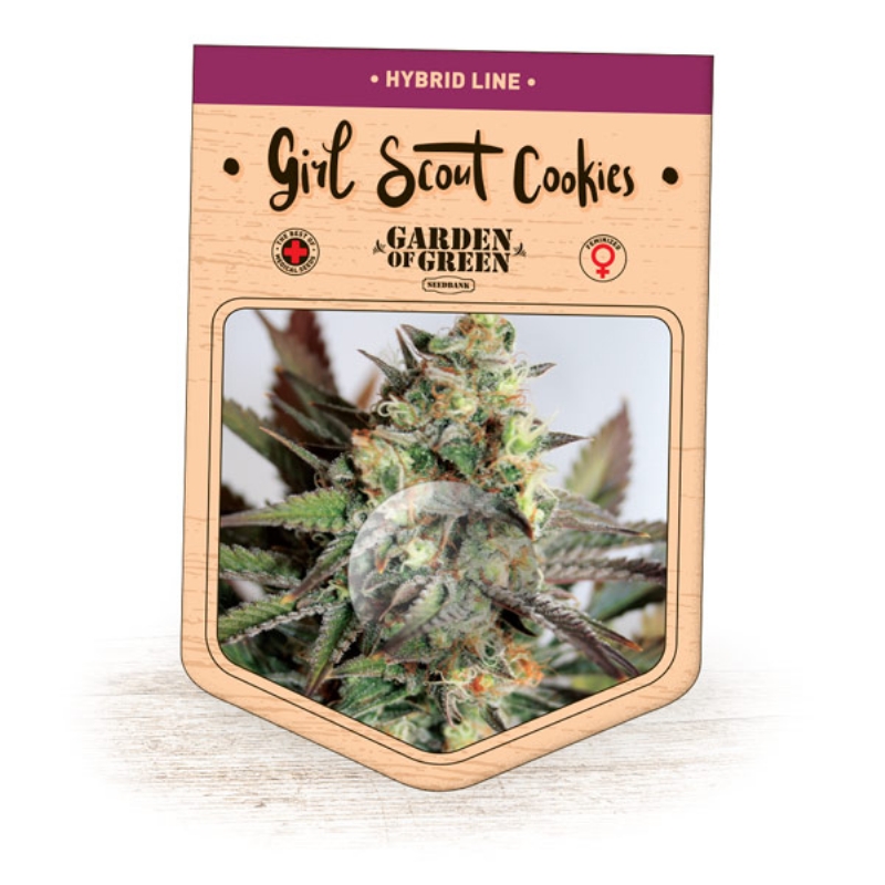 15 UND FEM - GIRL SCOUT COOKIES * GARDEN OF GREEN 15 UND FEMINIZADAS