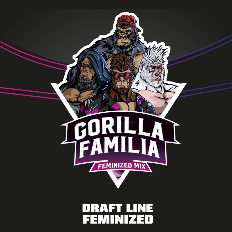 12 UND FEM - GORILLA FAMILIA FEMINIZED MIX - DRAFT LINE * BSF SEEDS 12 UND FEMINIZADAS