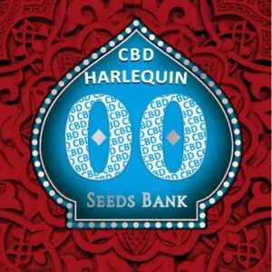 5 UND FEM - HARLEQU�N CBD * 00SEEDS 5 UND FEMINIZADAS