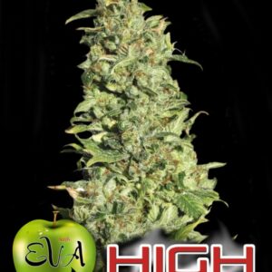 6 UND FEM - HIGH LEVEL * EVA SEEDS 6 UND FEMINIZADAS