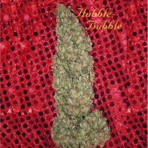6 UND FEM - HUBBLE BUBBLE * MANDALA SEEDS 6 UND FEMINIZADAS