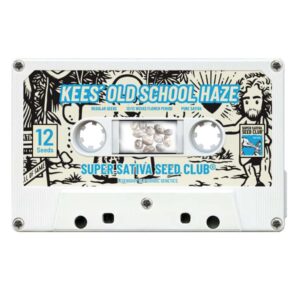 12 UND REG - KEES' OLD SCHOOL HAZE * SUPER SATIVA SEED CLUB  12 UND REGULARES