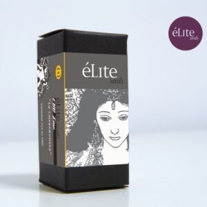 3 UND FEM - LA CHEPERUDETA * ELITE 3 UND FEMINIZADAS