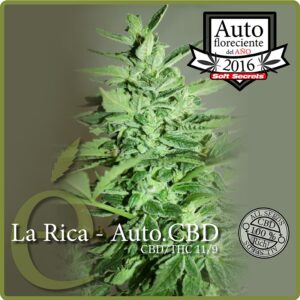 3 UND FEM - LA RICA AUTO CBD * ELITE 3 UND FEMINIZADAS