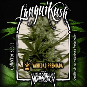1 UND FEM - LANGUI KUSH * THE KUSH BROTHERS SEEDS 1 UND FEMINIZADA