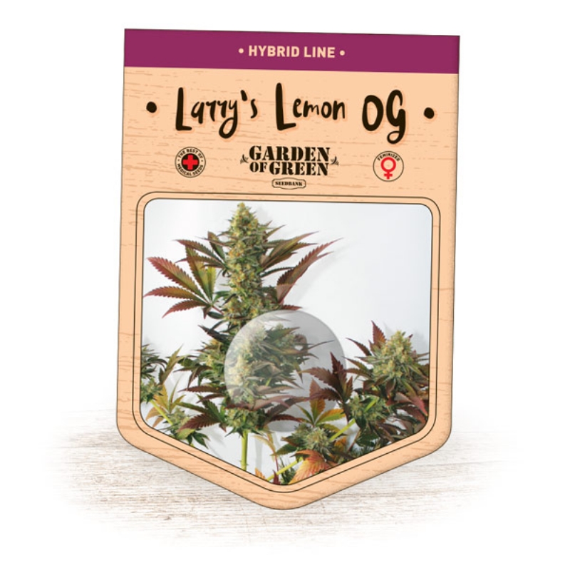 3 UND FEM - LARRY'S LEMON OG * GARDEN OF GREEN 3 UND FEMINIZADAS