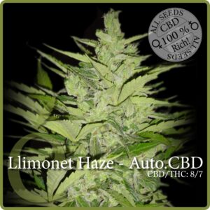 3 UND FEM - LLIMONET HAZE  AUTO CBD * ELITE 3 UND FEMINIZADAS