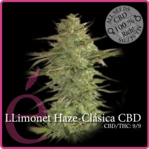 3 UND FEM - LLIMONET HAZE CBD * ELITE 3 UND FEMINIZADAS
