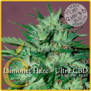 3 UND FEM - LLIMONET HAZE ULTRA CBD * ELITE 3 UND FEMINIZADAS