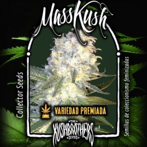 1 UND FEM - MASS KUSH * THE KUSH BROTHERS SEEDS 1 UND FEMINIZADA