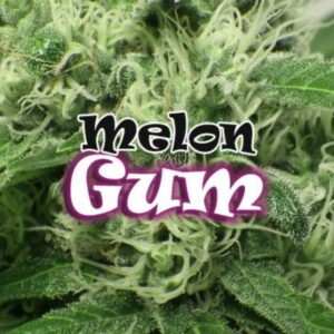8 UND FEM - MELON GUM * DR UNDERGROUND 8 UND FEM