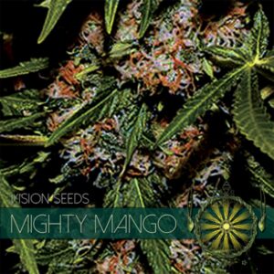 3 UND FEM - MIGHTY MANGO BUD (ETIQUETA FRANCESA) * VISION SEEDS 3 UND FEMINIZADAS