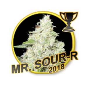 100 UND FEM - MR SOUR-R (USA STRAINS) * MR. HIDE SEEDS 100 UND FEM