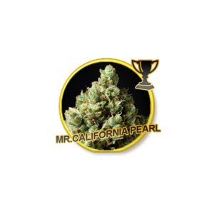 1 UND FEM - MR. CALIFORNIA PEARL * MR. HIDE SEEDS  1 UND FEM