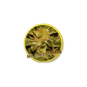 1 UND FEM - MR. CHEESE MASS * MR. HIDE SEEDS  1 UND FEM