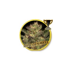 3 UND FEM - MR. EIDEN MASS * MR. HIDE SEEDS 3 UND FEM