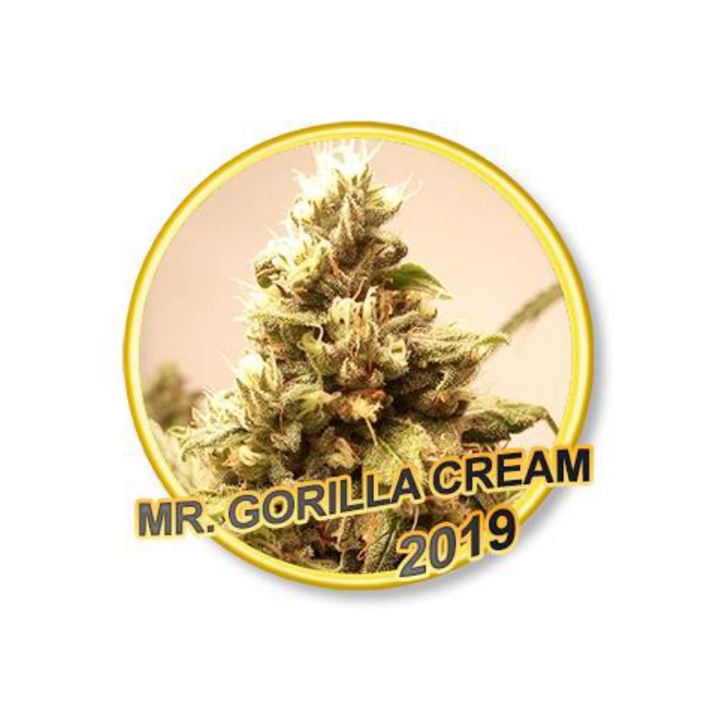 15 UND REG - MR GORILLA CREAM * MR. HIDE SEEDS 15 UND REG