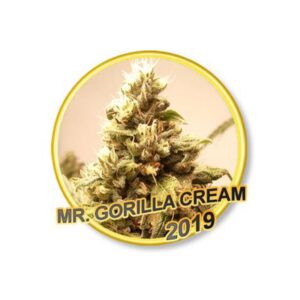 7 UND REG - MR GORILLA CREAM * MR. HIDE SEEDS 7 UND REG