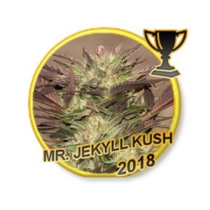1 UND FEM - MR. JEKYLL KUSH * MR. HIDE SEEDS  1 UND FEM