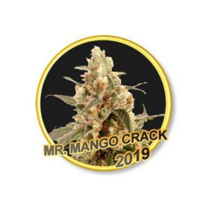 50 UND FEM - MR. MANGO CRACK * MR. HIDE SEEDS 50 UND FEM