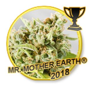 1 UND FEM - MR. MOTHER EARTH * MR. HIDE SEEDS  1 UND FEM