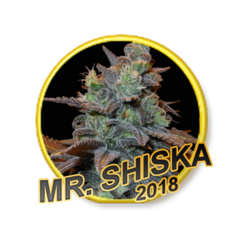 15 UND REG - MR SHISKA (USA STRAINS) * MR. HIDE SEEDS 15 UND REG