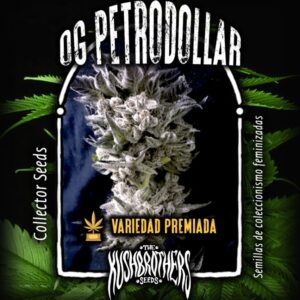 10 UND FEM - PETRO $ OG * THE KUSH BROTHERS SEEDS 10 UND FEMINIZADA
