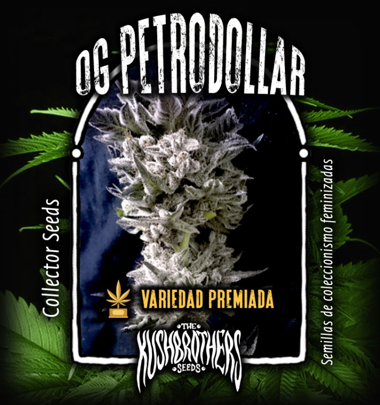 10 UND FEM - PETRO $ OG * THE KUSH BROTHERS SEEDS 10 UND FEMINIZADA