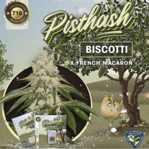 5 UND FEM - PISTHASH * T.H. SEEDS 5 UND FEMINIZADAS