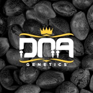 6 UND REG - RP MIX PACK * DNA GENETICS RESERVA PRIVADA 6 UND