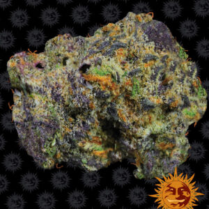 1 UND FEM - RUNTZ MUFFIN * BARNEY'S FARM 1 UND FEMINIZADAS