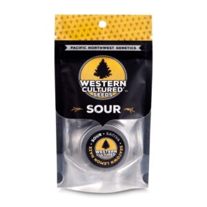 5 UND FEM - SEATOWN LEMON HAZE - SOUR * WESTERN CULTURED 5 FEMINIZADAS