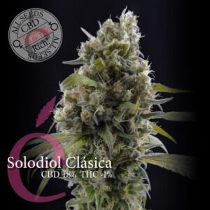 3 UND FEM - SOLODIOL CBD * ELITE 3 UND FEMINIZADAS