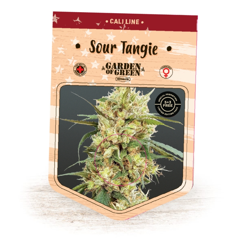 3 UND FEM - SOUR TANGIE * GARDEN OF GREEN 3 UND FEMINIZADAS