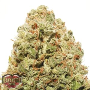 5 UND FEM - STRAWBERRY CAKE * HEAVYWEIGHT SEEDS 5 UND FEMINIZADAS