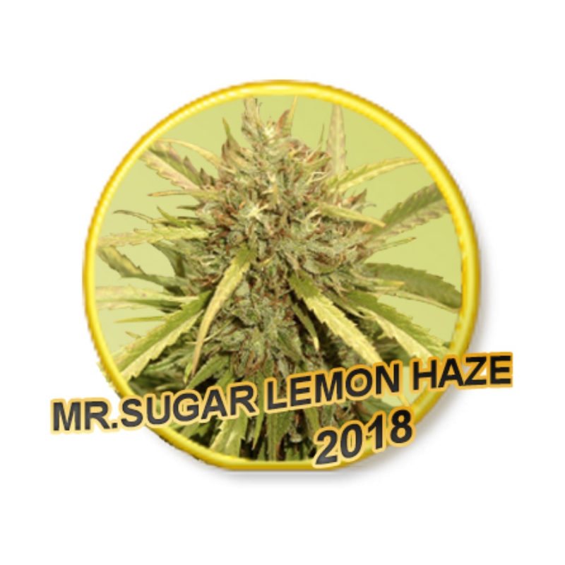 3 UND FEM - MR. SUGAR LEMON HAZE * MR. HIDE SEEDS 3 UND FEM