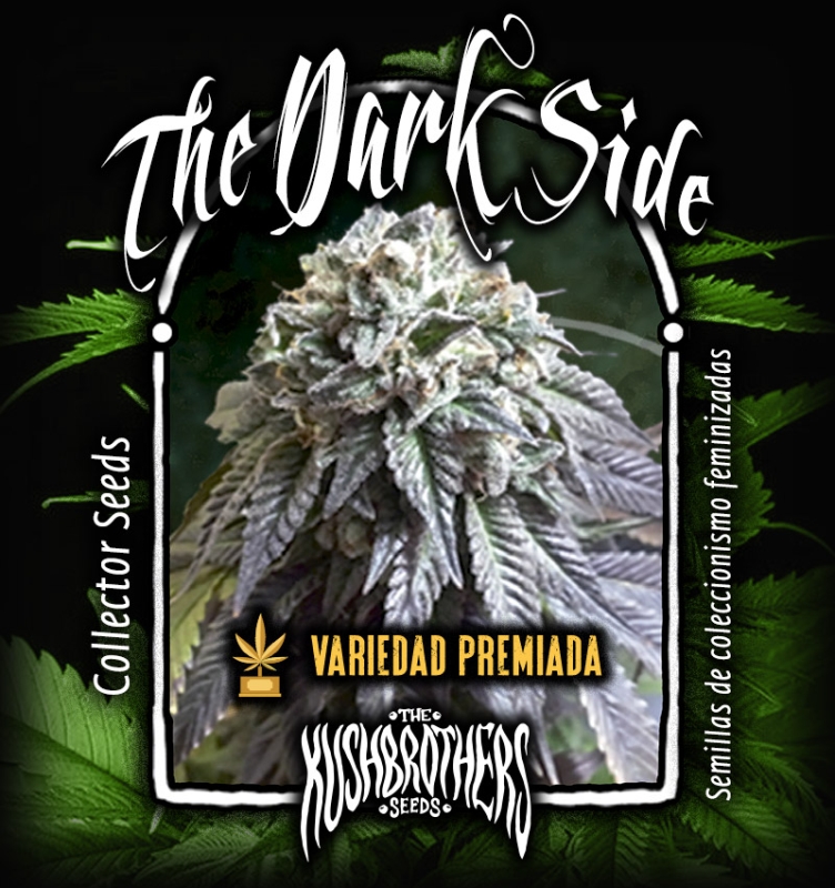 10 UND FEM - THE DARK SIDE * THE KUSH BROTHERS SEEDS 10 UND FEMINIZADAS